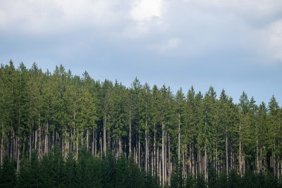2024/2-DSC_4083.jpg