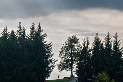2024/2-DSC_4150-Edit.jpg