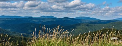 HB26_mego_610.jpg